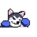 🤜 emoji LIHKG Husky Animated (Unofficial) Telegram sticker 21 of 30