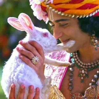 🐰 emoji krishna Telegram sticker 7 of 8