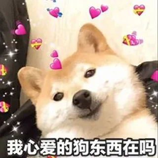Sticker from 婷婷的宝藏小屋