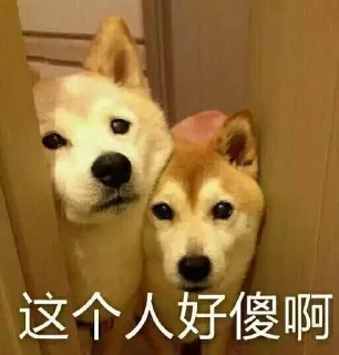 👶 emoji 书屋兄的私藏 Telegram sticker 22 of 105