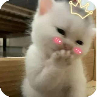 😍 emoji didi punyaa😠 Telegram sticker 16 of 58