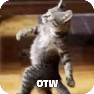 😼 emoji didi punyaa😠 Telegram sticker 11 of 58