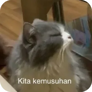 🙄 emoji didi punyaa😠 Telegram sticker 10 of 58