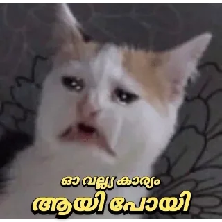 🤣 emoji @Archana_38 Pack 38✨🥂 Telegram sticker 17 of 120