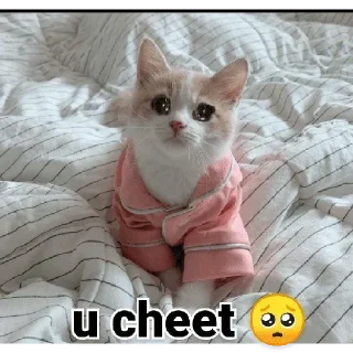 🥺 emoji @Archana_38 Pack 38✨🥂 Telegram sticker 21 of 120