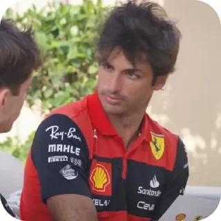 🤨 emoji Formula One Telegram sticker 23 of 41