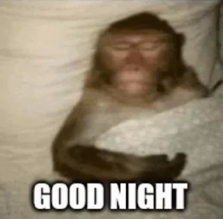 😴 emoji @ombr07 Monkey @memegasm07 Telegram sticker 18 of 120
