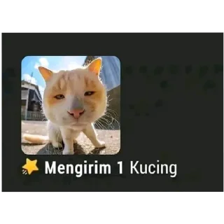 🐱 emoji Re Telegram sticker 18 of 37