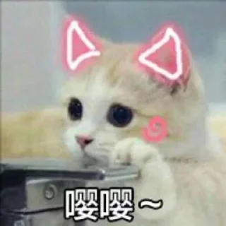 😾 emoji 万博小辣椒专属 Telegram sticker 10 of 116