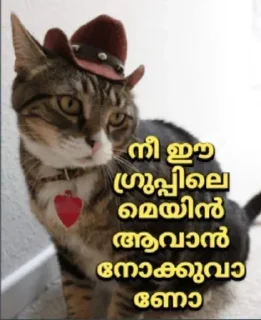 😵 emoji @Archana_38 Vol.4 Telegram sticker 5 of 120