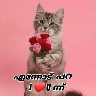 Sticker from @Archana_38 Vol.24