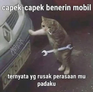 🙁 emoji Kucing Telegram sticker 20 of 21