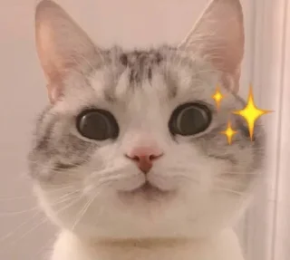 😉 emoji 表情包 @BQBVIP Telegram sticker 21 of 106