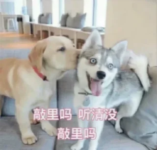 😂 emoji @hao12342 TG中文搜索 Telegram sticker 20 of 52