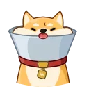 🐕 emoji Akio @GIFbiaoqing Telegram sticker 15 of 43