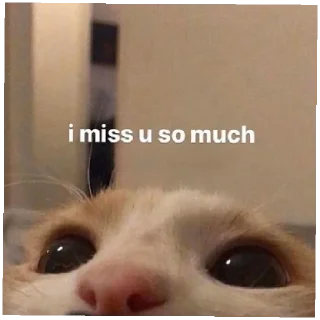 🥺 emoji By rara Telegram sticker 14 of 54