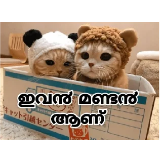 😅 emoji @Farseen_king_of_telegram 😌😌 Telegram sticker 20 of 120