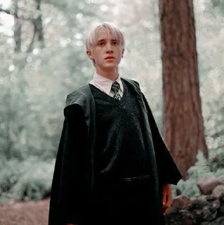 🪐 emoji draco malfoy – @lirikantajam Telegram sticker 24 of 40