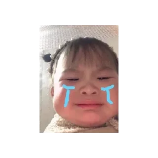 😭 emoji Sak 0.2 Telegram sticker 23 of 24