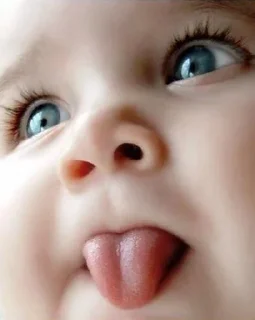 😛 emoji sɪᴅʜᴀ ˢᵃᵈʰᵃ ʟᴀᴅᴋᴀ Telegram sticker 19 of 69
