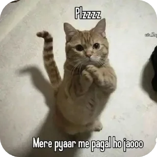 🐱 emoji quotes - @shit_posting_meme Telegram sticker 13 of 118