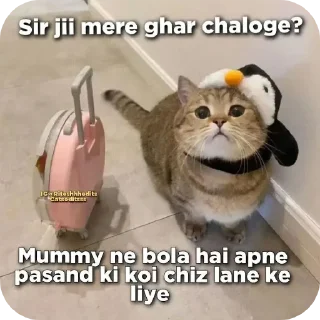 🐱 emoji quotes - @shit_posting_meme Telegram sticker 16 of 118