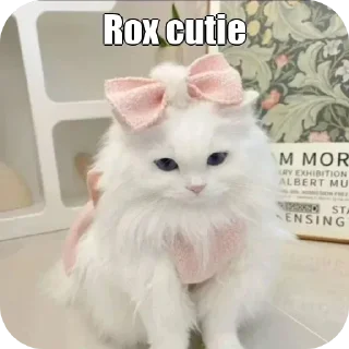 ✔️ emoji 𓆩〭〬 𝐒 𝐇 𝐈 𝐍 𝐑‌⃪𝐀 ◉ sᴡᴏʀᴅ ᵀᴹ 𓆪's Telegram sticker 20 of 97