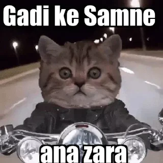 😡 emoji ChIrAg Is ThE BeSt-3 Telegram sticker 8 of 120