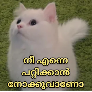 😂 emoji @Angel_Sweetie_Pie1 Vol.3 Telegram sticker 24 of 120