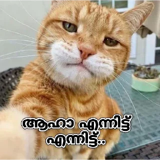 😂 emoji @Angel_Sweetie_Pie1 Vol.3 Telegram sticker 22 of 120