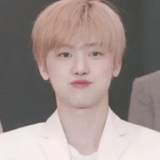 🐰 emoji cutei jαemin ૮₍⑅˶•▿•˶⑅₎ა @gifjaeminna Telegram sticker 6 of 25