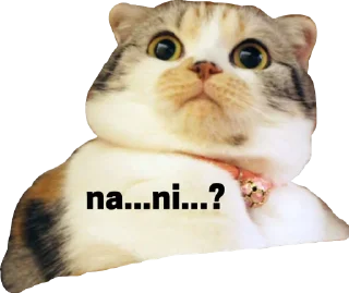 😮 emoji Nani Telegram sticker 9 of 10