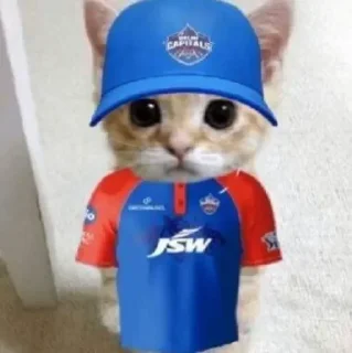 👈 emoji injury premier league Telegram sticker 18 of 48