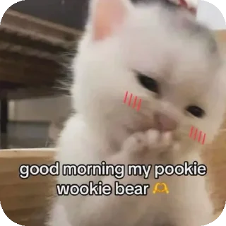 😀 emoji Kgsyt Telegram sticker 24 of 44