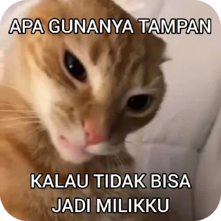 🐱 emoji Kiara istri jeno Telegram sticker 5 of 22