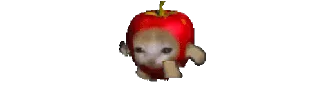 🍎 emoji 𔘓 𝒉𝒆𝒏 Telegram sticker 14 of 50