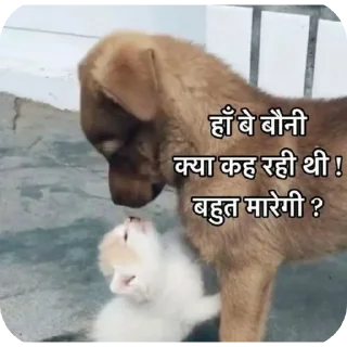 🐱 emoji @piyushsharma_007 Telegram sticker 10 of 65