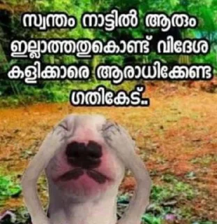 😪 emoji doge malayalam Telegram sticker 24 of 120