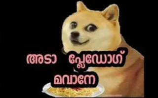 💦 emoji doge malayalam Telegram sticker 9 of 120
