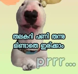💨 emoji doge malayalam Telegram sticker 17 of 120
