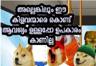 😭 emoji doge malayalam Telegram sticker 7 of 120