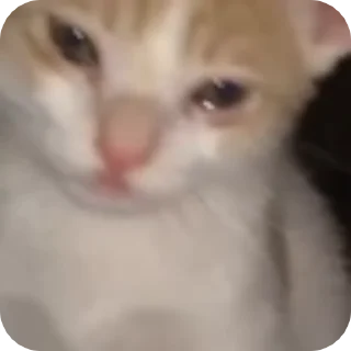 😢 emoji utα @ppsrg 𝐩𝐚𝐜𝐤 Vol.³ Telegram sticker 15 of 29