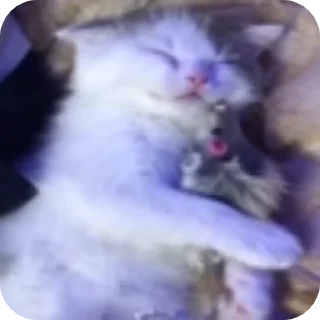 😴 emoji utα @ppsrg 𝐩𝐚𝐜𝐤 Vol.³ Telegram sticker 21 of 29