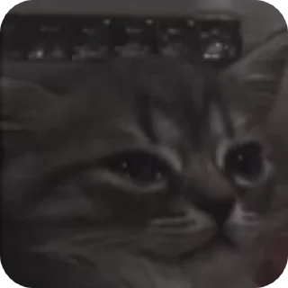 🥺 emoji utα @ppsrg 𝐩𝐚𝐜𝐤 Vol.³ Telegram sticker 16 of 29