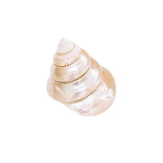❤ emoji @lueveil’s. by the seashore.🤍🐚🫧 Telegram sticker 18 of 18