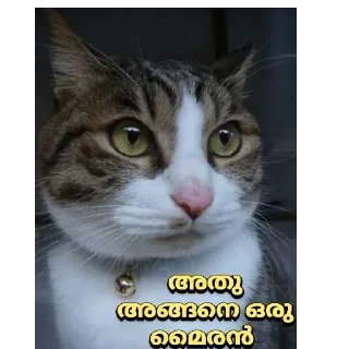 😒 emoji @BLACKSTORM18's Pack 5 Telegram sticker 14 of 120