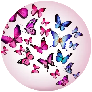 🦋 emoji @SiliconValleyBoy Kang Pack 1 Telegram sticker 5 of 73