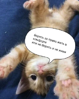 🌟 emoji и чья это вина Telegram sticker 19 of 69
