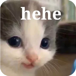 🐱 emoji masa gamau Telegram sticker 5 of 42