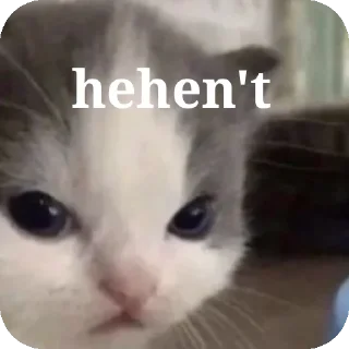 🐱 emoji masa gamau Telegram sticker 8 of 42